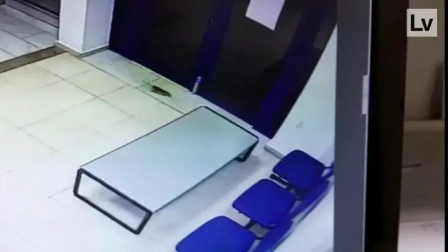 Ratas en el retén de la Policía Local de Calp