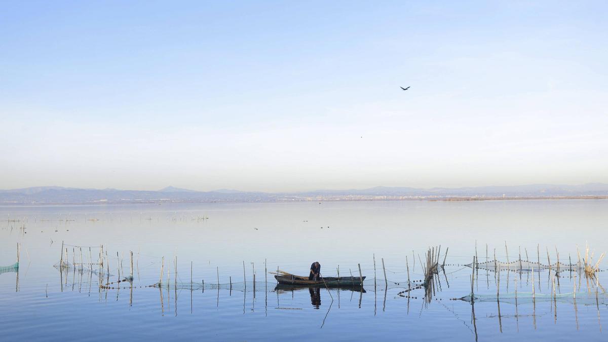 Un pescador manejando sus aparejos en el lago de l’Albufera.