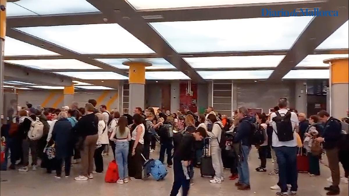 VÍDEO | Aena abre gratis el acceso VIP en el control seguridad del aeropuerto de Palma por las colas