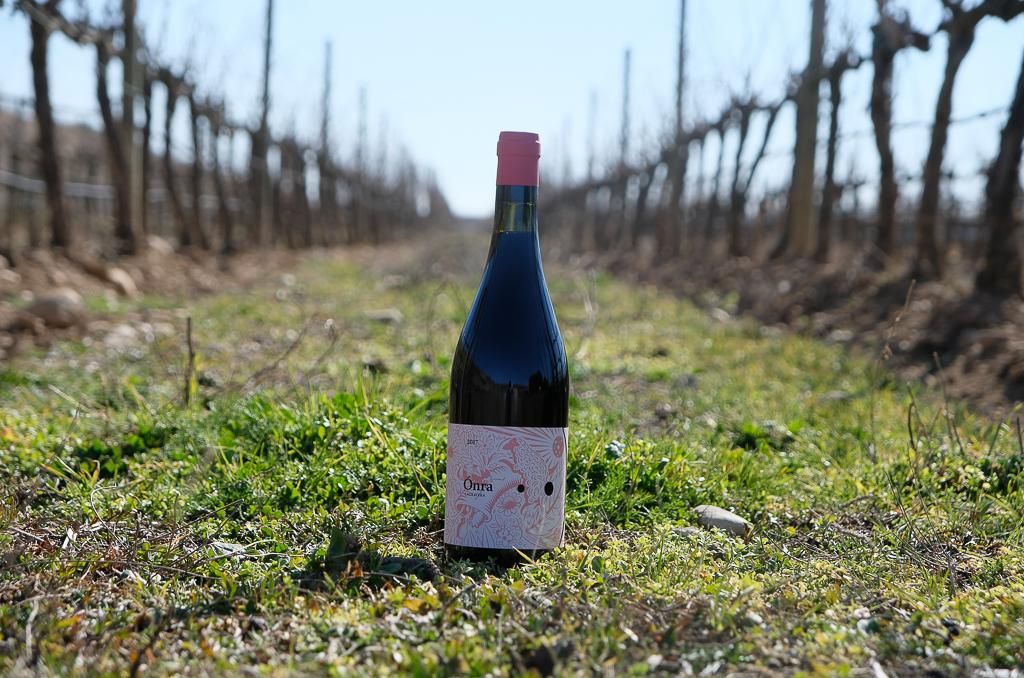 Ónra 2017 es uno de los vinos que incluye Casa Gourmet en su selección de enero.