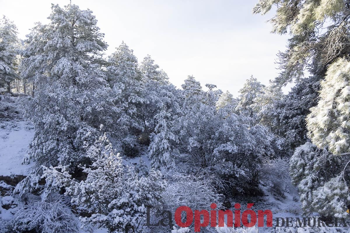 Descubre dónde queda acumulación de nieve en la Región de Murcia