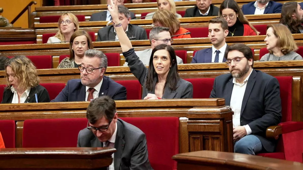 El Parlament insta al Govern a definir la ubicación del nuevo hospital universitario del Ebro en Tortosa