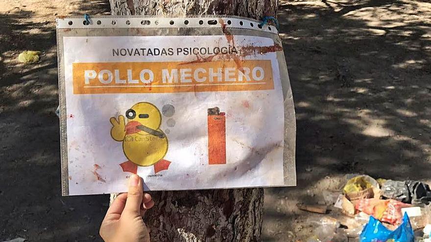 Botellas y bolsas de plástico decoran cada fin de semana los montes del Campus de Espinardo | L.O.