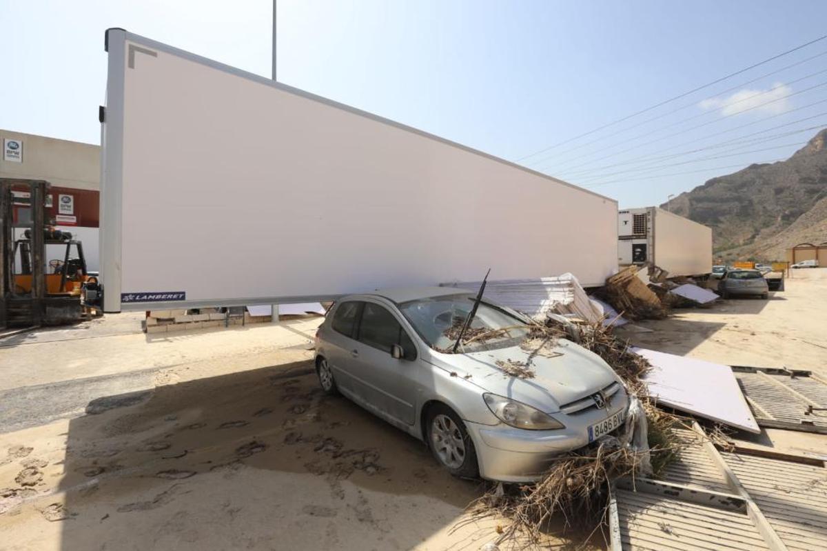 En directo: Los agricultores cifran en 550 millones las pérdidas en el campo de la provincia de Alicante