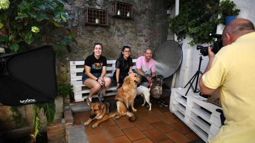 El “photocall” de mascotas para recaudar fondos. 