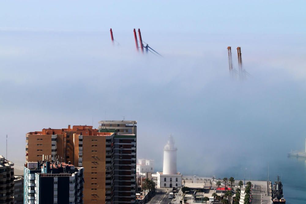 El taró cubre Málaga