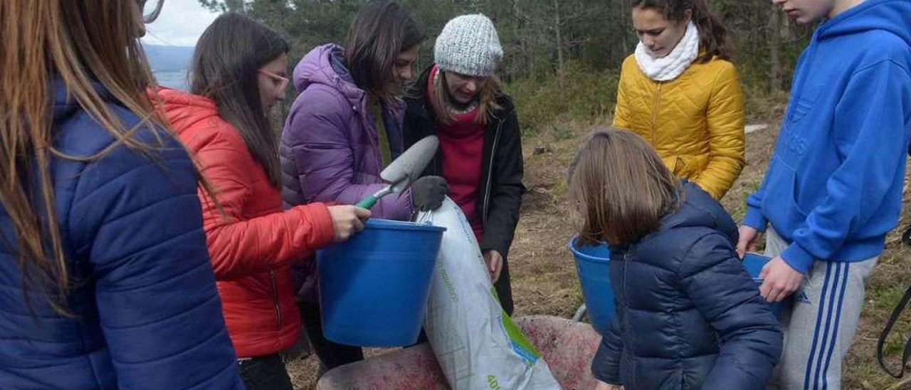 Varios de los jóvenes que participaron en la plantación de 75 árboles ayer en Sualaxe. // Noé Parga