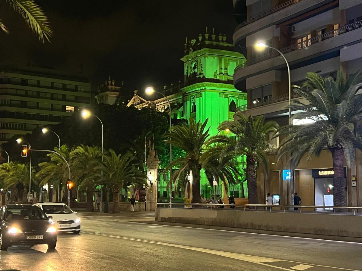 La Diputación de Alicante se une a la causa y se tiñe de verde.