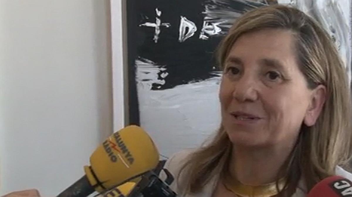 La presidenta de l’Acadèmia del Cine Català creu que la taxa pot procedir del pagament per televisió o internet.
