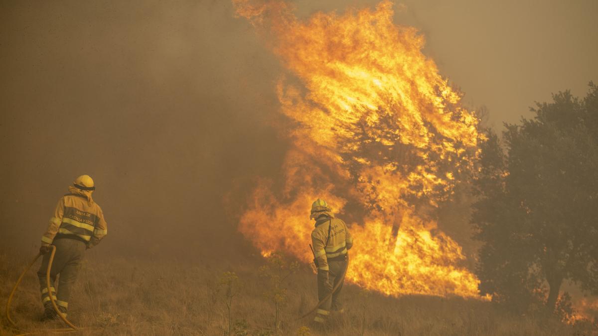 Efectivos durante el operativo para sofocar el fuego en La Culebra.