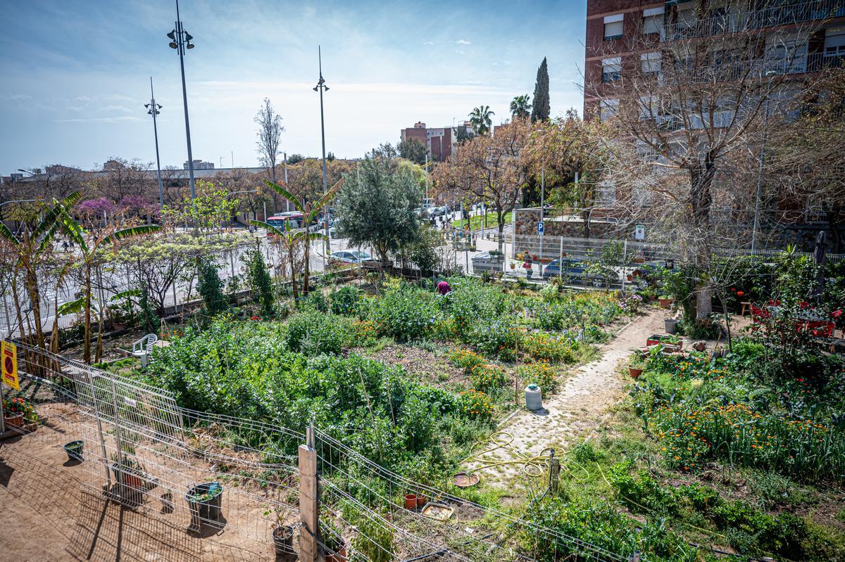 Fiesta de la arquitectura en la masía de Can Valent de Barcelona, tras su rehabilitación.