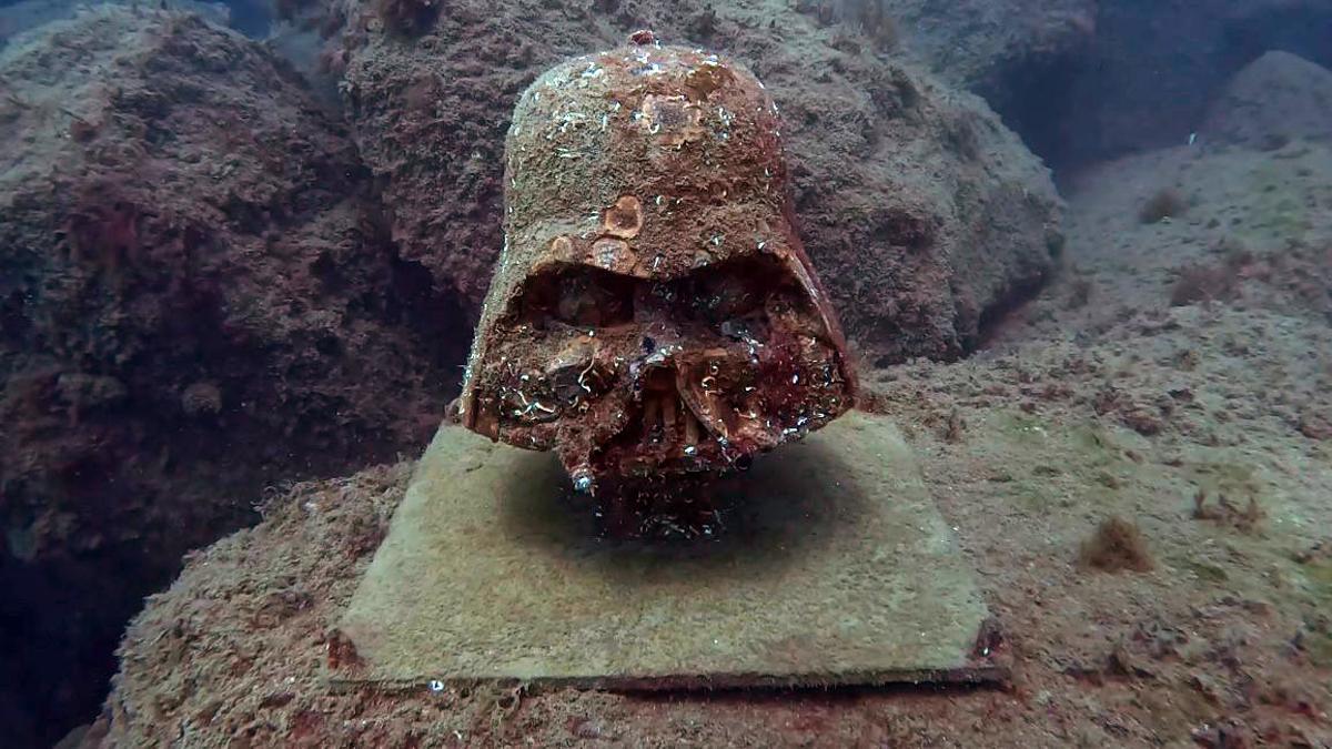 El Darth Vader de la Nova Mar Bella, tras un invierno bajo el mar.