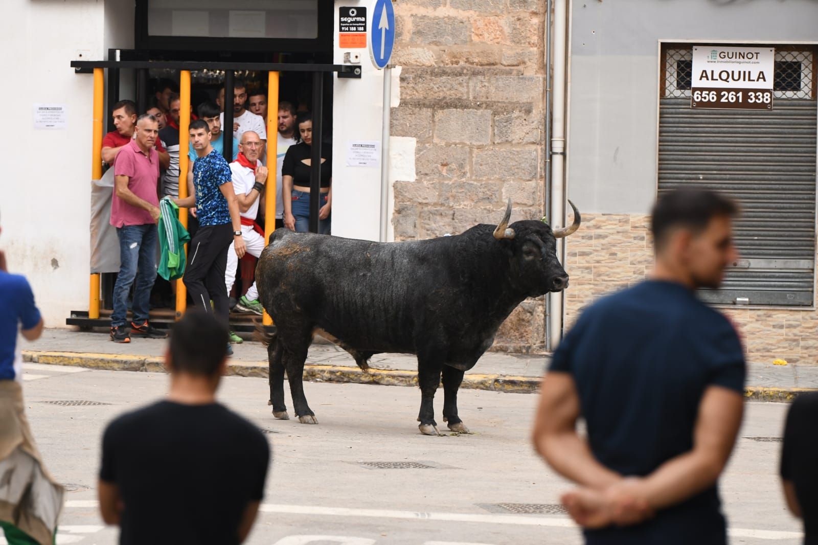 Exhibición de cuatro toros de Partida Resina en Onda