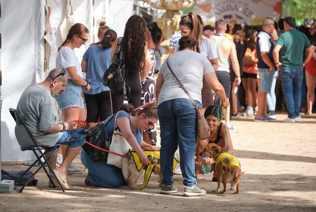 Día de los Animales en Santa Cruz