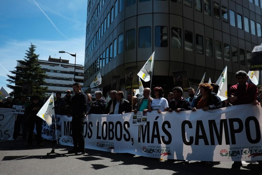 La Alianza se manifiesta en contra del lobo