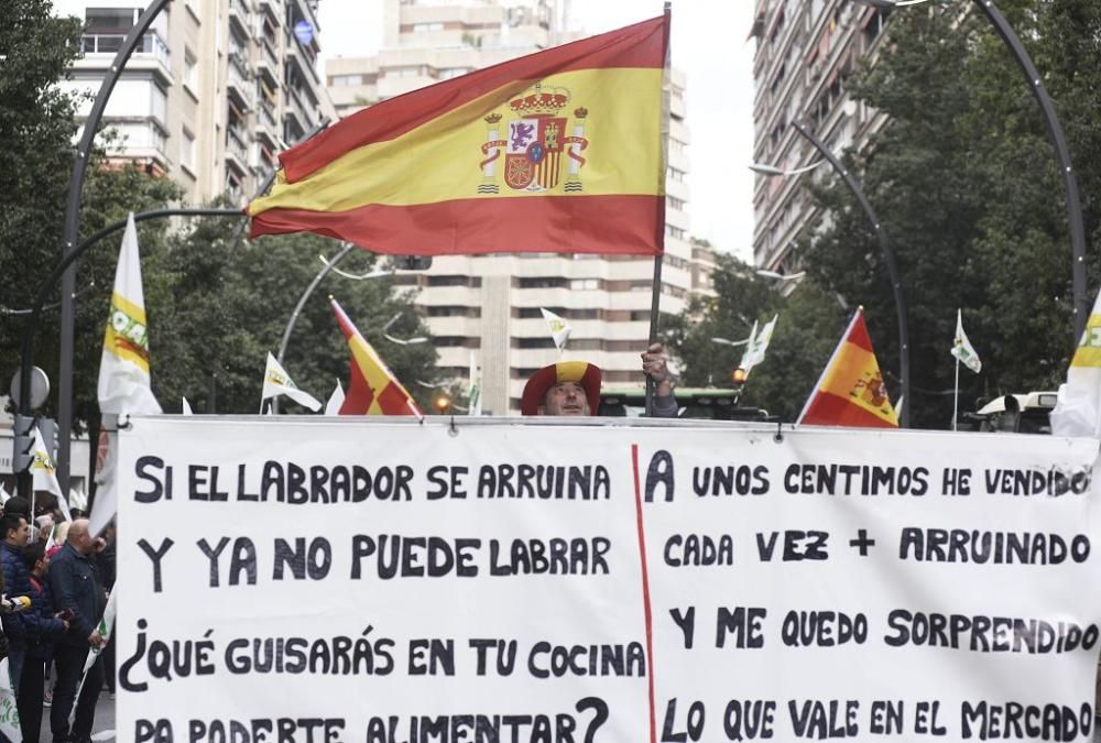 Así ha sido la manifestación de los agricultores en Murcia (II)