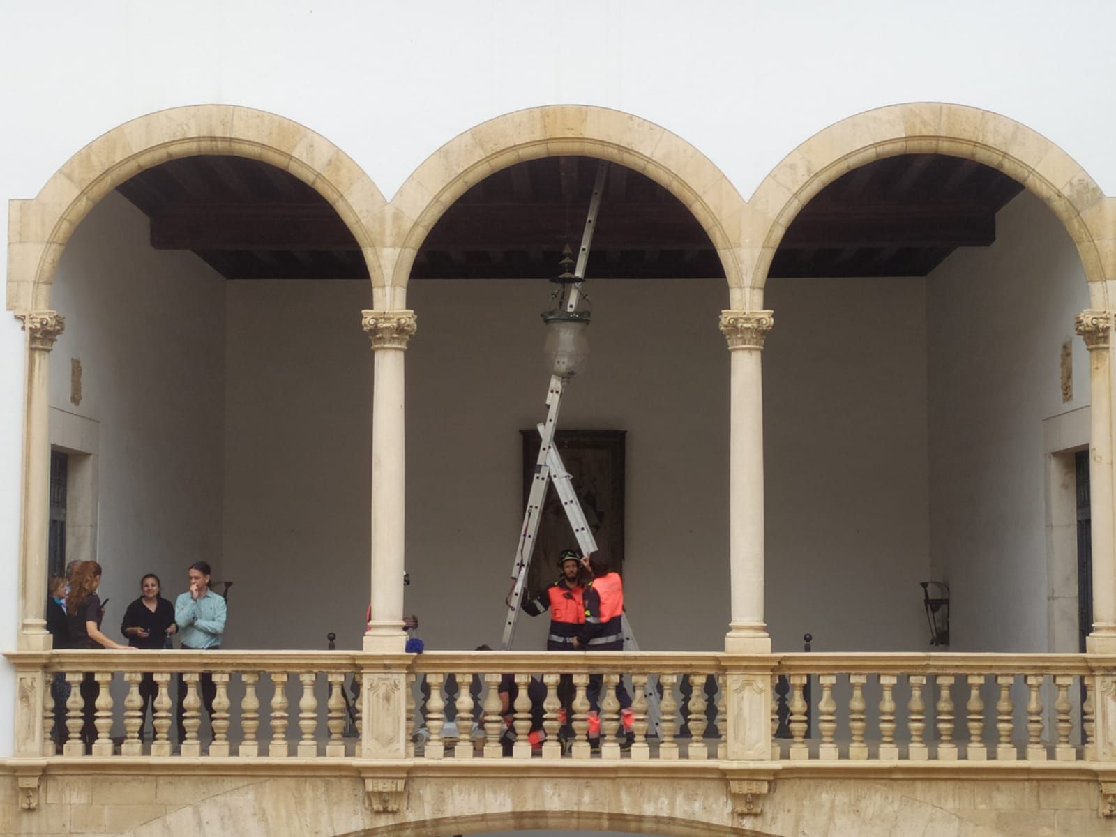 FOTOS | Rescate de un vencejo atrapado en una lámpara en la Audiencia de Palma