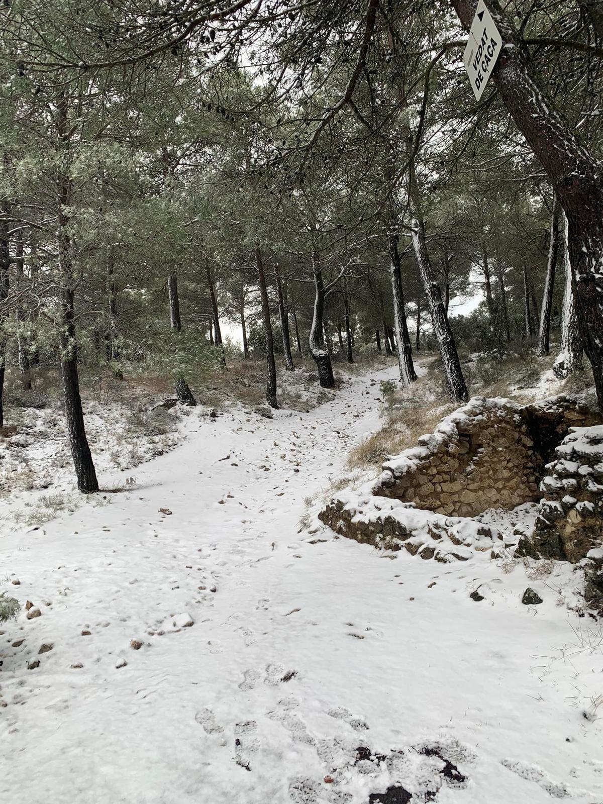 El Xorret de Catí de Petrer esta mañana.