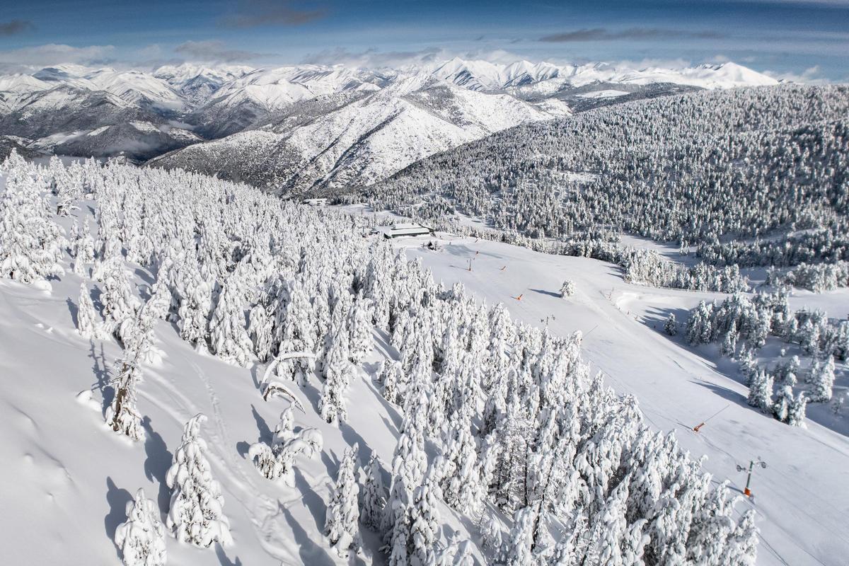 Els arbres de les muntanyes acumulen gruixos considerables de neu. Zona de Port Ainé, al Pallars Sobirà
