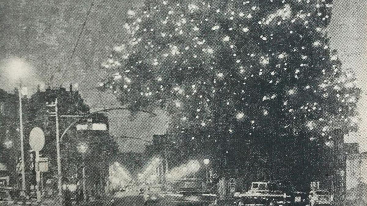 El olivo del Paseo
de Alfonso, con luces
de Navidad en 1970.
  | // MAGAR