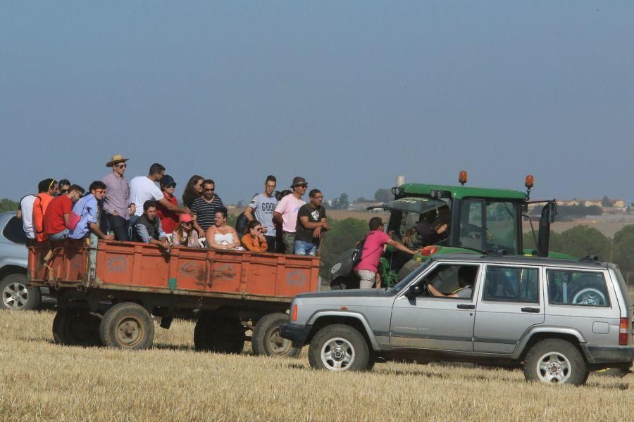 Fiestas en Moraleja del Vino: Encierro