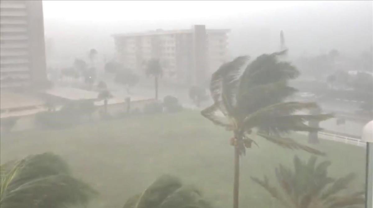 undefined44893284 trees sway as storm gordon descends on fort lauderdale  flor180904115944