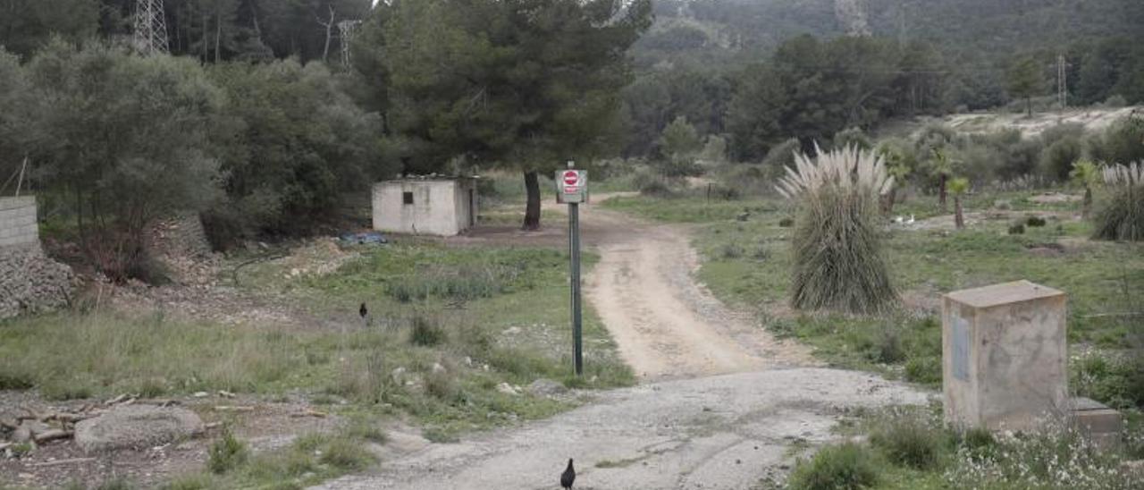 Finca de Son Toells, en Sant Agustí, donde el PGOU prevé edificios y equipamientos.  | MANU MIELNIEZUK