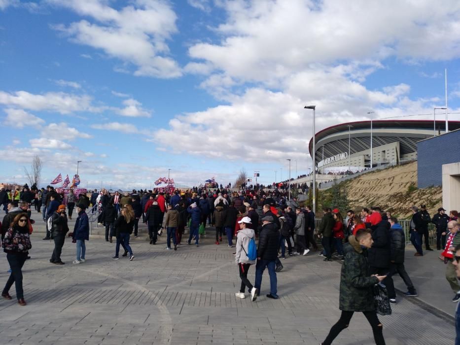 LaLiga. Partido Atlético de Madrid - UD Las Palmas