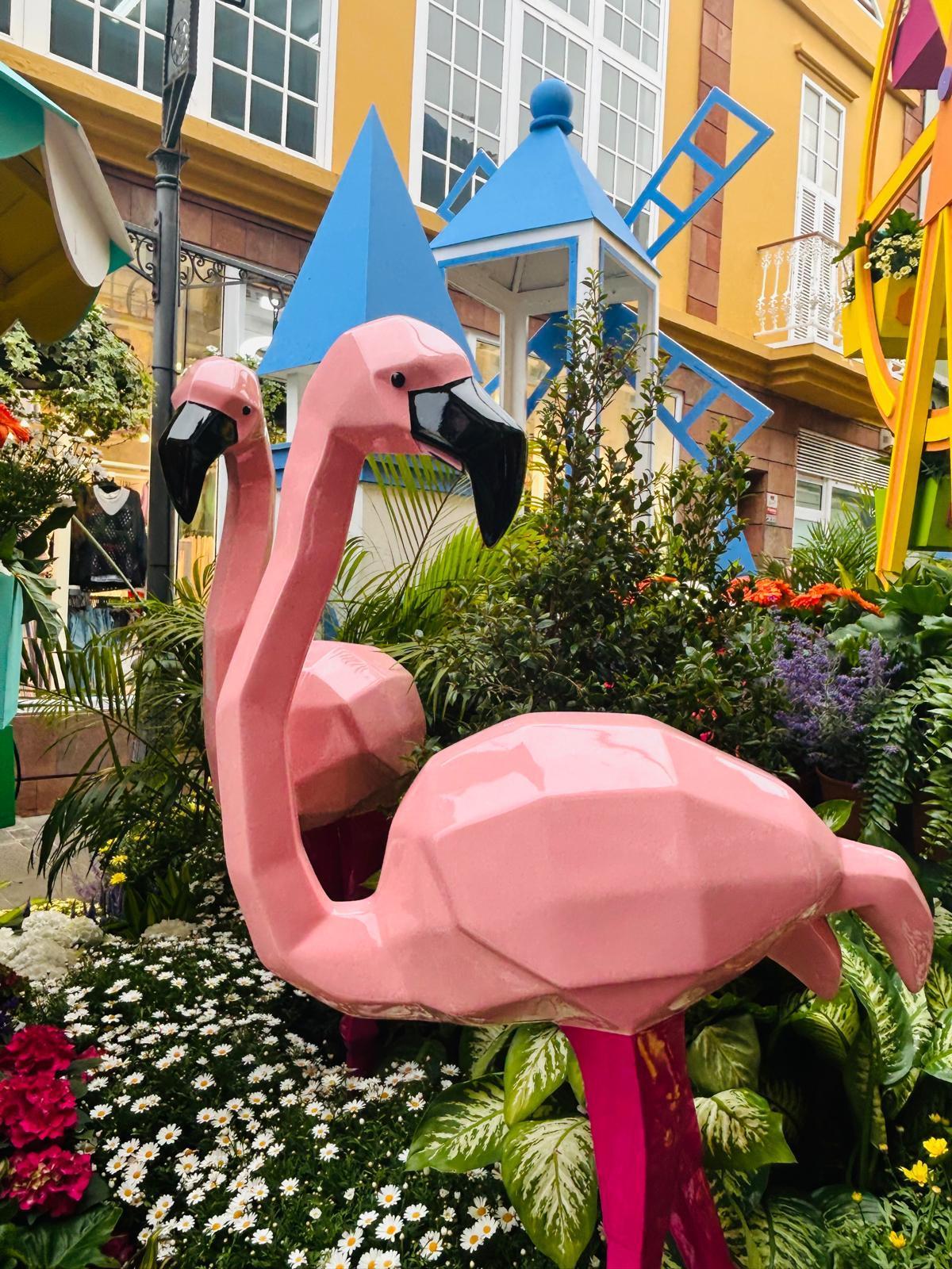 Gáldar en Flor 2026