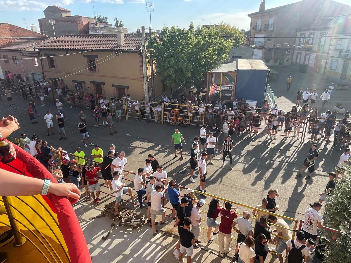 La fiesta taurina de Villanueva de Azoague, en imágenes La fiesta taurina de Villanueva de Azoague, en imágenes