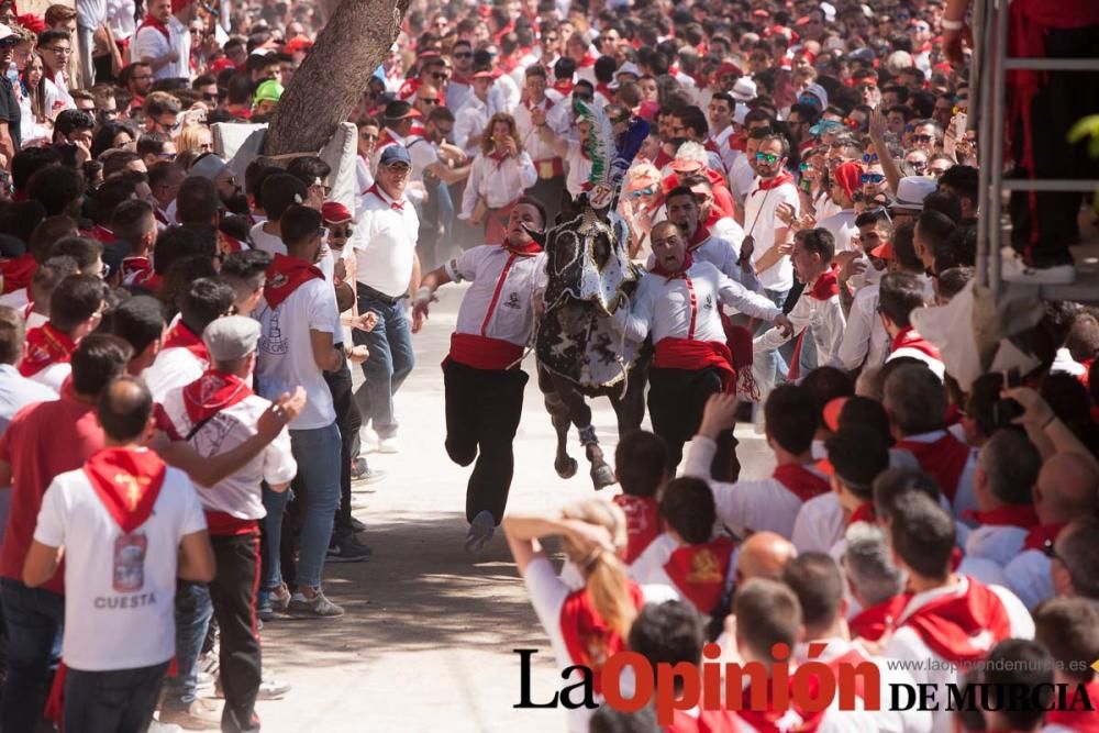 Carrera de los Caballos del Vino