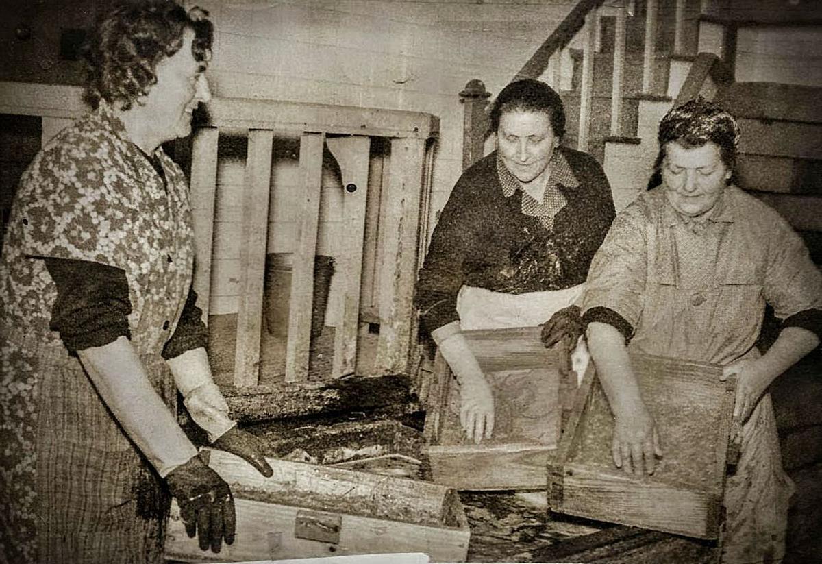 Las conserveras –en la imagen– también hicieron uso del carbón recogido en la desembocadura del Nalón.