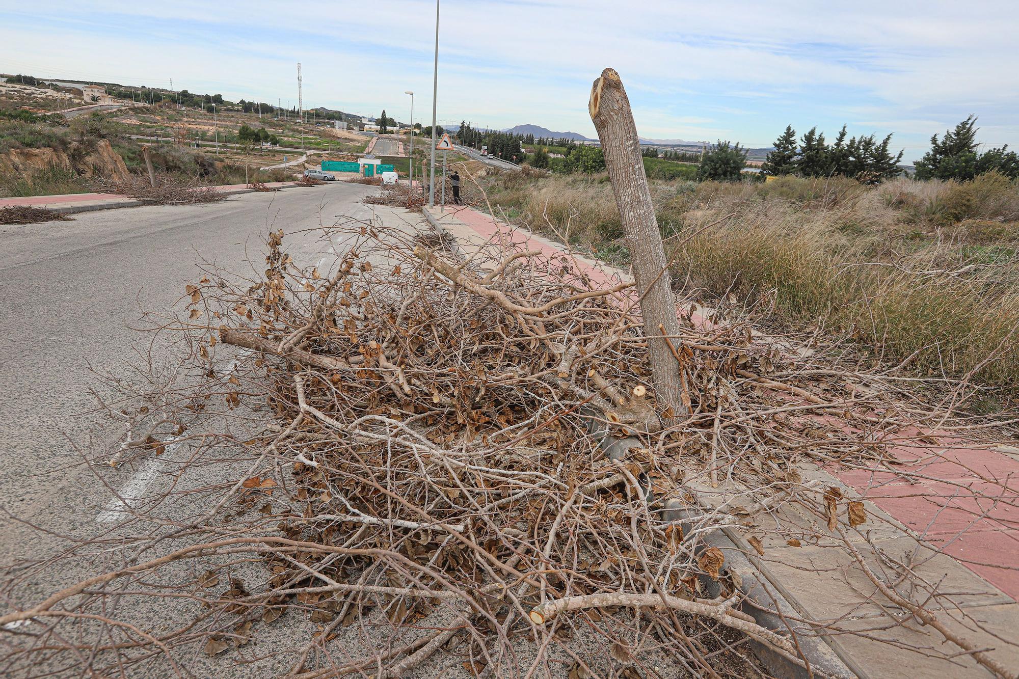 Trabajos de limpieza en la urbanización de Los Invernaderos en San Miguel de Salinas