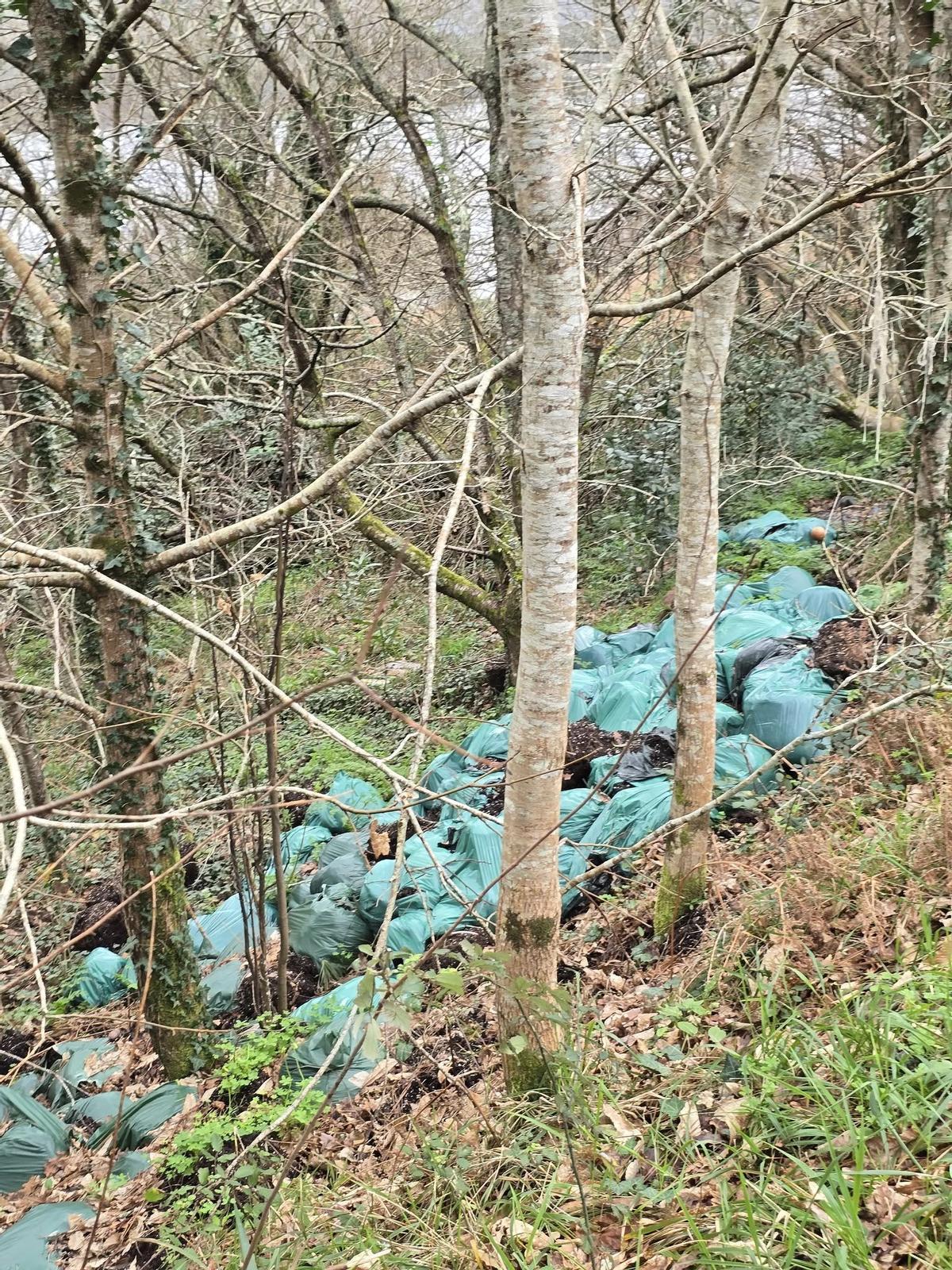 Algunos de los sacos arrojados por el barranco.
