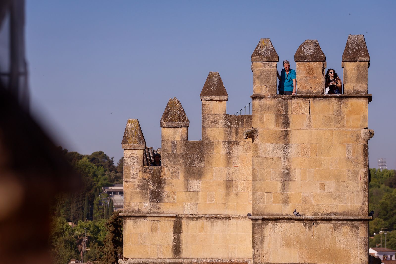 La restauración de la Torre del Homenaje y de la cubierta del Salón de Mosaicos