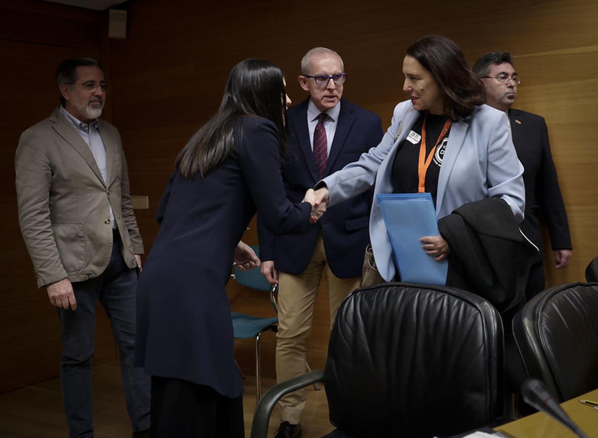Gradolí saluda a la presidenta de la comisión, Miriam Turiel, a su llegada a las Corts.