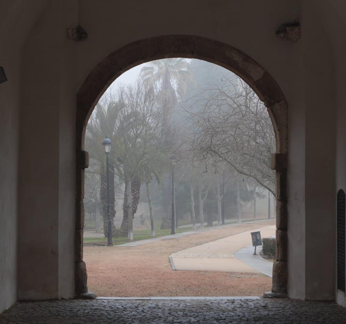 EN IMÁGENES | Badajoz amanece cubierta de niebla y deja impactantes imágenes