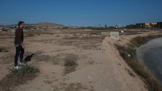 La zona en la que está proyectada la ampliación de Elche Parque Empresarial
