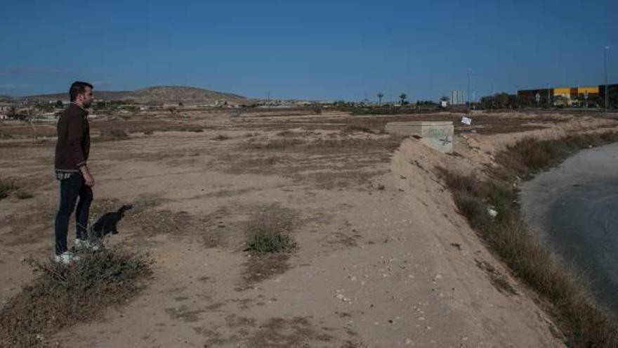 La zona en la que está proyectada la ampliación de Elche Parque Empresarial
