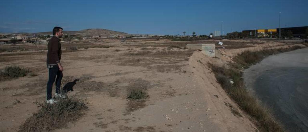 La zona en la que está proyectada la ampliación de Elche Parque Empresarial