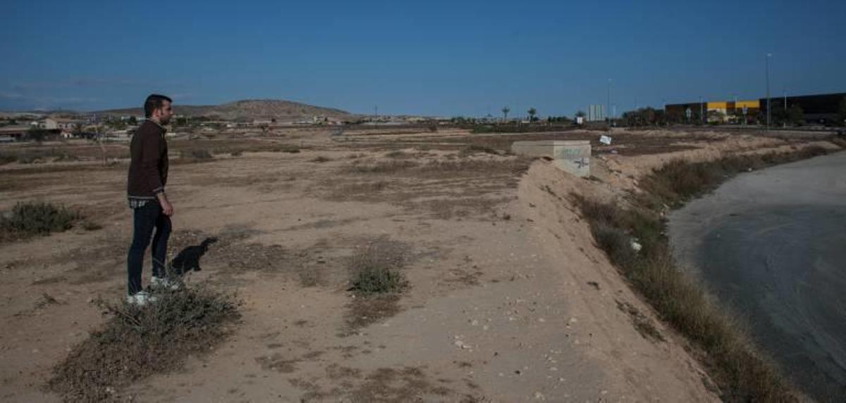 La zona en la que está proyectada la ampliación de Elche Parque Empresarial