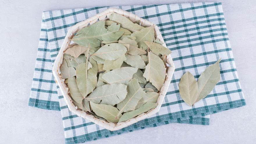 HOJA DE LAUREL EN CUBO DE LA FREGONA  Adiós al jabón: la razón por la que  debes echar hojas de laurel en el cubo de la fregona