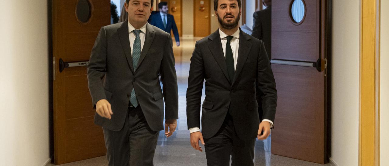 El vicepresidente de la Junta, Juan García-Gallardo (d), y el presidente de la Junta de Castilla y León, Alfonso Fernández Mañueco (i), llegan a la sesión de la votación de las enmiendas del PSOE a la Ley de medidas, en la sede de Las Cortes.