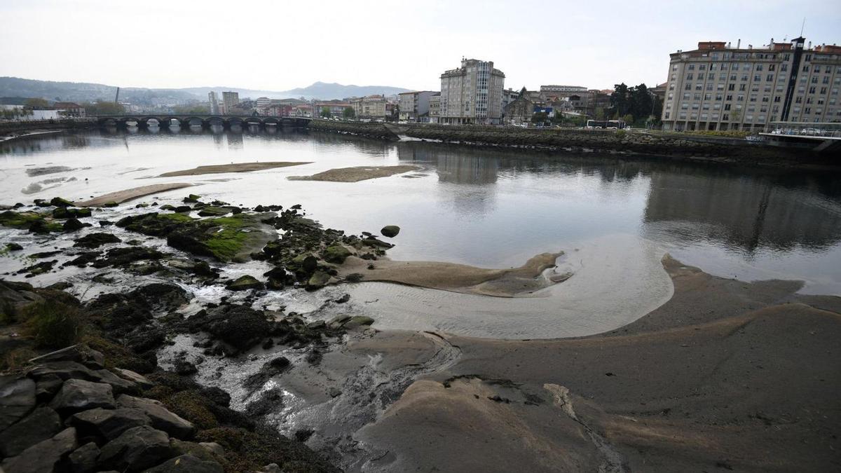 Lodos en el río Lérez a su paso por la ciudad de Pontevedra.