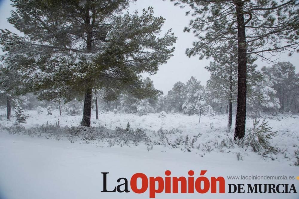 La nieve cubre de blanco el Campo de San Juan