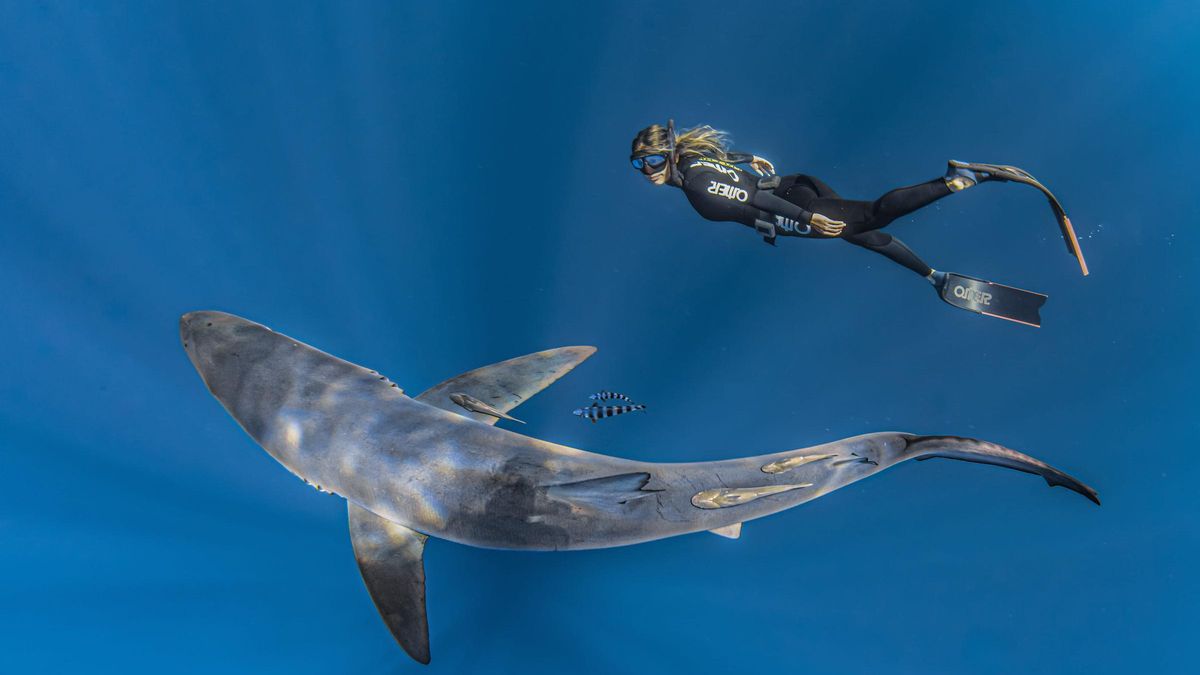 La oceanògrafa, Gàdor Muntaner.