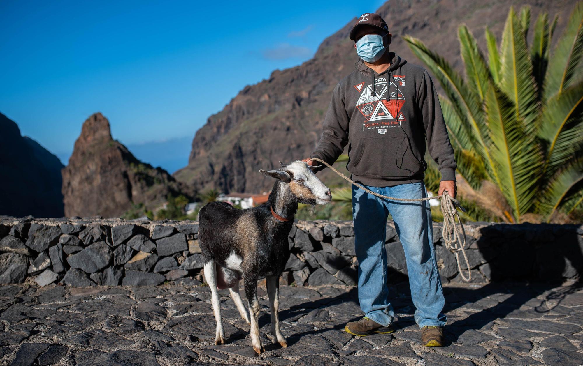 Barranco de Masca