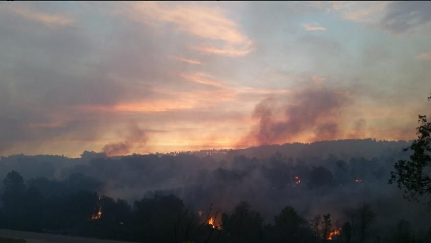 Incendi forestal a Vilopriu