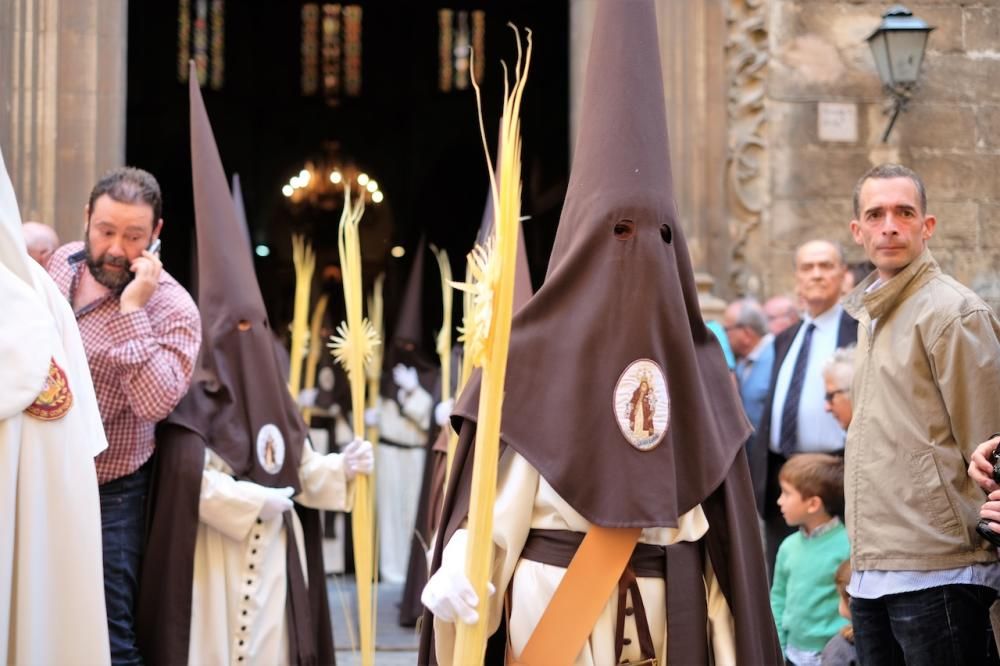 Procesión del Domingo de Ramos en Palma