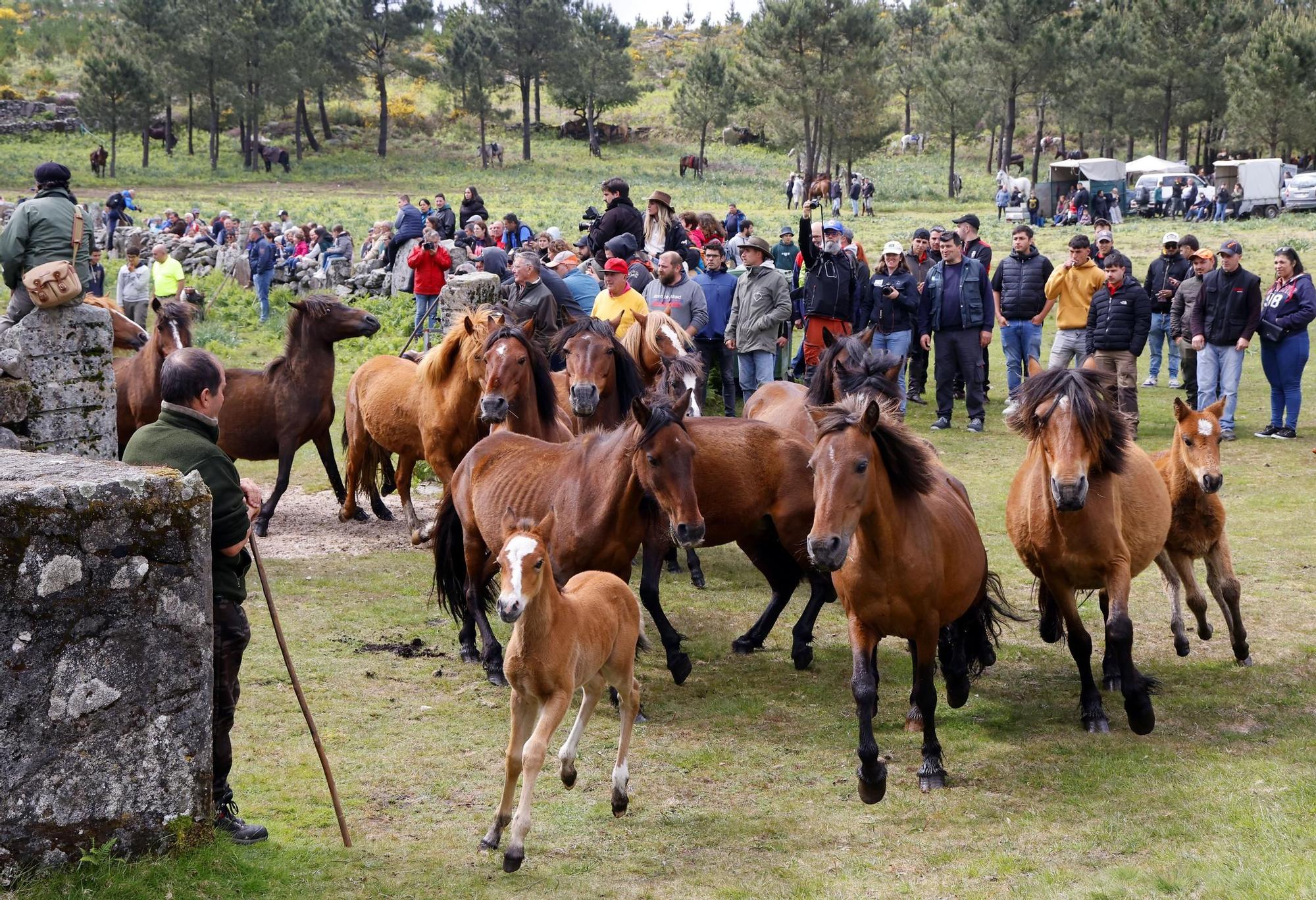 Valga inaugura la temporada de curros